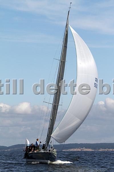 ORCi2 473.jpg